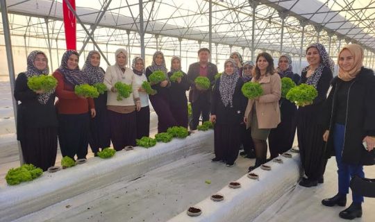 Topraksız tarım projesine, kadın çiftçilerden yoğun ilgi