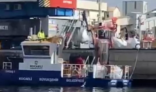 Evyap Port Limanından, vinçlerin devrilmesi olayı ile ilgili yapılan açıklamada…