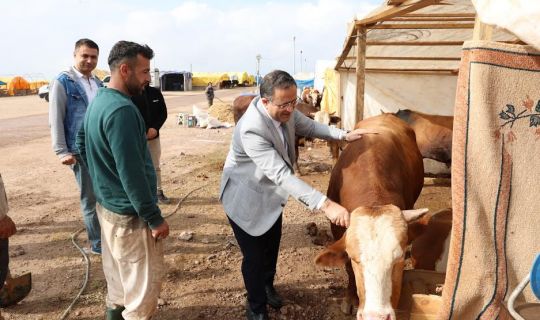 Başkan Gökçe, Kurban Pazarında, vatandaşlara hayırlı işler diledi