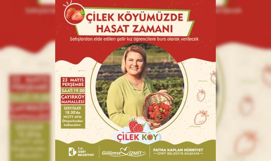 Çilek Köy’de, hasat başlıyor