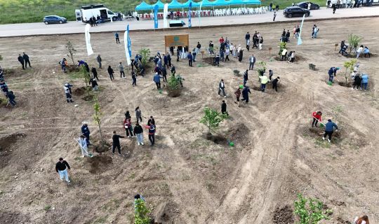 Kocaeli'nde Yeşilin Yükselişi Devam Ediyor