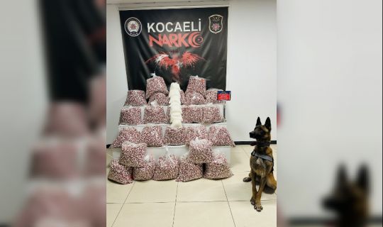 Tırda yapılan aramada, metamfetamin ele geçirildi