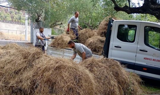 Körfez’de, Yeşil Alanlara Titiz Dokunuş Körfez’de, Yeşil Alanlara Titiz Dokunuş