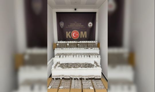 Gölcük’te Kaçak Tütün Operasyonu: 206 Bin Makaron Ele Geçirildi Gölcük’te Kaçak Tütün Operasyonu: 206 Bin Makaron Ele Geçirildi