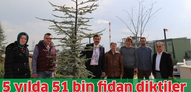 5 yılda 51 bin fidan diktiler