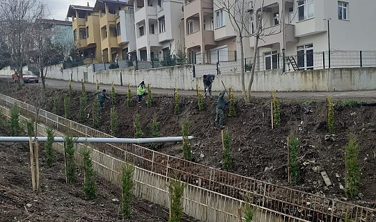 Gölcük'lü istedi başkan yaptı