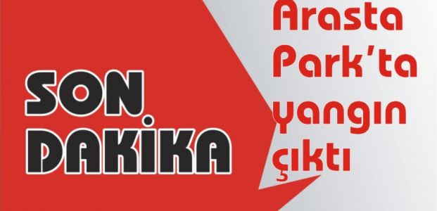 Arasta Park’ta yangın çıktı