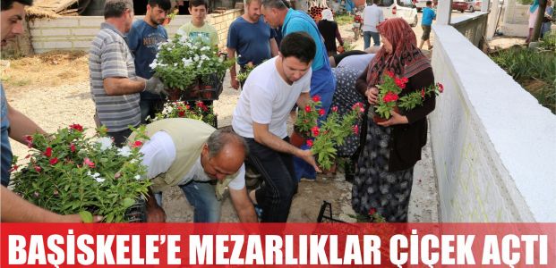 Başiskele'de mezarlıklar çiçek açtı