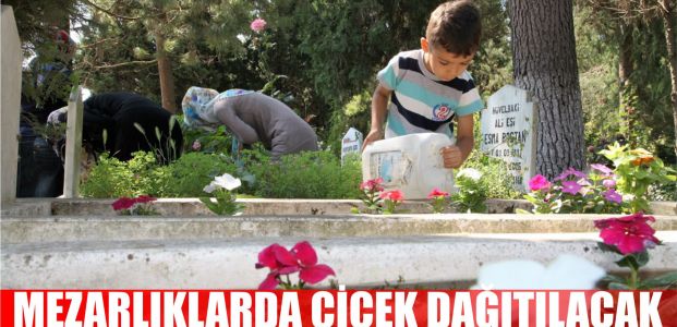 Başiskele'de mezarlıklarda çiçek dağıtılacak