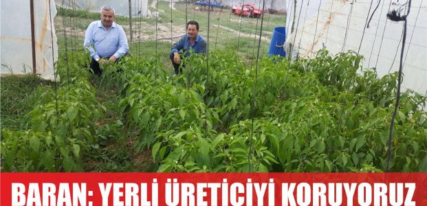  Başkan Baran: Yerli üreticiyi destekliyoruz