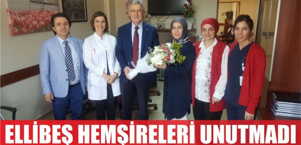 Başkan Ellibeş, Hemşireler haftasını kutladı