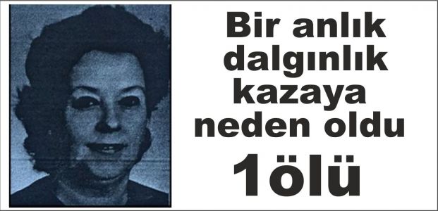  Bir anlık dalgınlık kazaya neden oldu:1 ölü