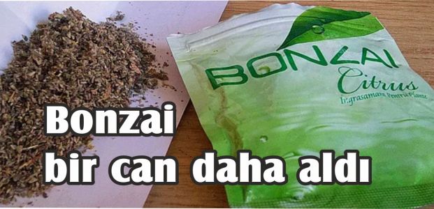  Bonzai bir can daha aldı