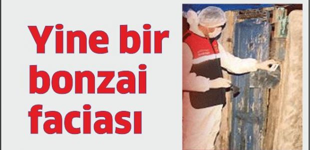 Bonzai içip ölen genci annesi buldu