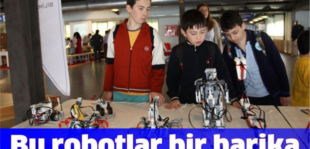 Bu robotlar bir harika!