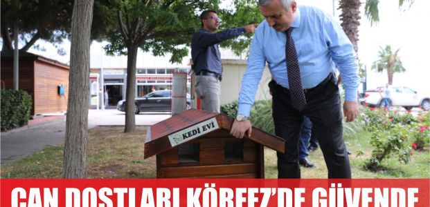  Can dostları Körfez’de güvende