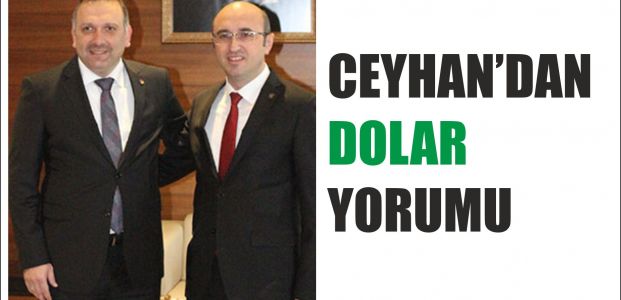 Ceyhan'dan dolar yorumu