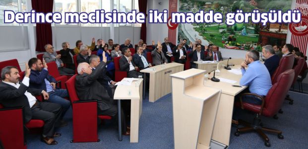 Derince Meclisi'nde iki madde görüşüldü