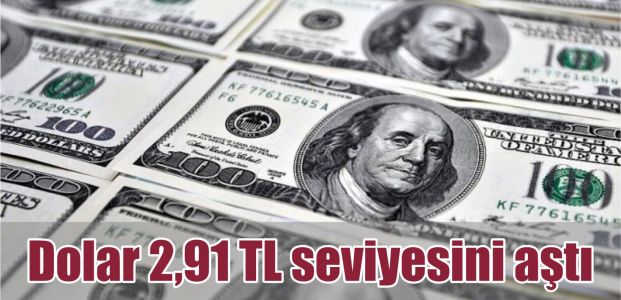  Dolar 2,91 TL seviyesini aştı