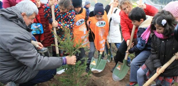 Gebze Beylikdağı ormana dönüşüyor