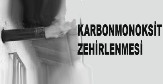 Gebze'de karbonmonoksit zehirlenmesi