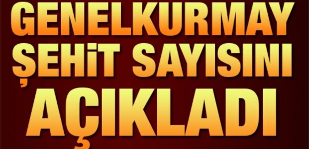  Genelkurmay şehit sayısını açıkladı