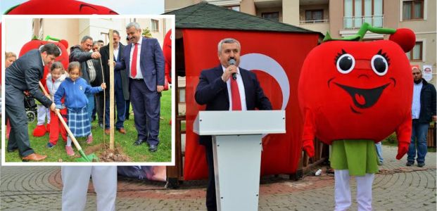  Her Bahçeye Bir KİRAZ