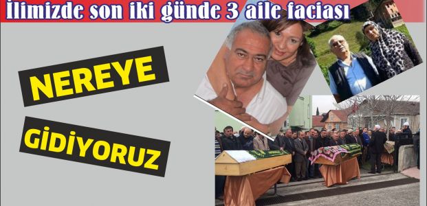 İki günde üç aile  cinnetten yok oldu