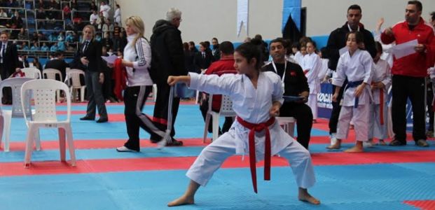            İller arası Karate Ligi'nin ikinci etabı başladı