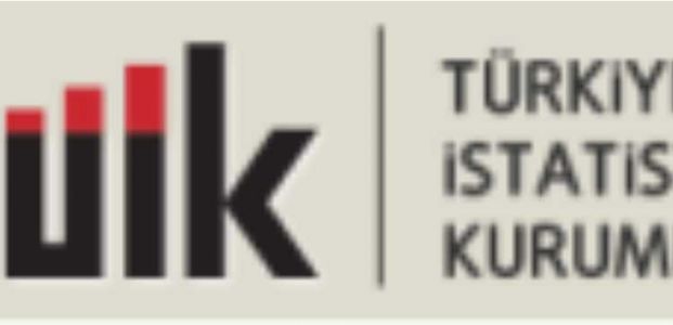  İşgücü İstatistikleri, Ocak 2015