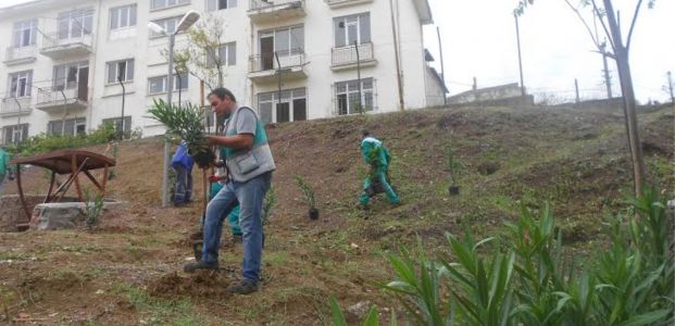 İzmit Belediyesi boş alanları değerlendiriyor