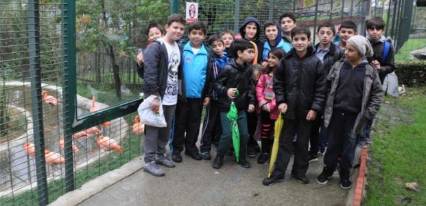 Kağıtsporlu sporcular Hayvanat Bahçesini Gezdi