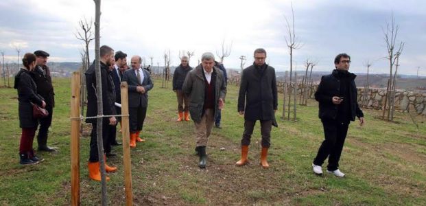 Kandıra’nın eski çöplüğü ‘’Kent Ormanı’’ oluyor