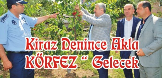 Kiraz Denince Akla “ KÖRFEZ “ Gelecek