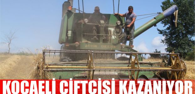 Kocaeli çiftçisi tohum desteğiyle hasatta da kazandı