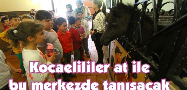 Kocaelililer at ile bu merkezde tanışacak   