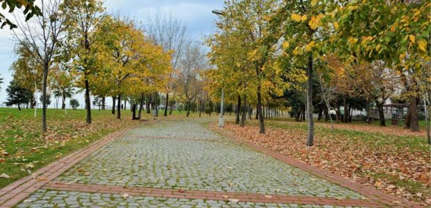  Körfez Sonbahar ’da Başka Bir Güzel  