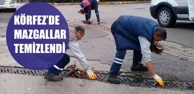  Körfez’de mazgallar temizlendi