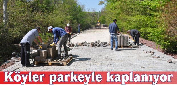 Köyler parkeyle kaplanıyor