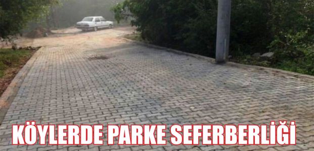  Köylerde parke seferberliği var