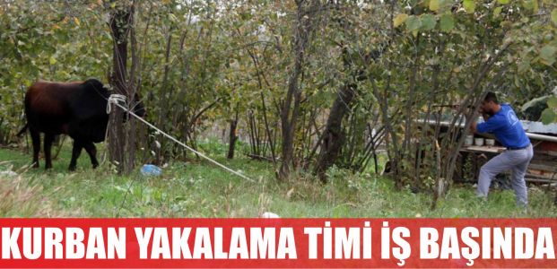 Kurban yakalama Tijm'i iş başında