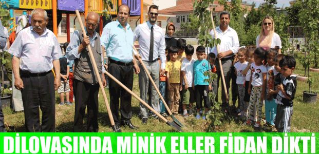 Minik eller fidan dikti