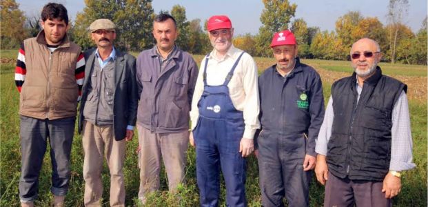 O tohumlarla yoncanın kanserini yendiler