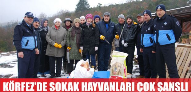 Sokak hayvanlarını elleriyle beslediler