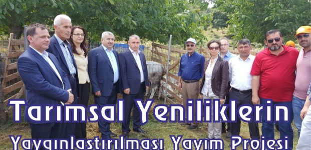 Tarımsal Yeniliklerin Yaygınlaştırılması Yayım Projesi