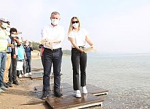 Balıklar bu kez Darıca sahilinden denize salındı