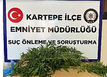 Uyuşturucu Maddelerin Murakabesi