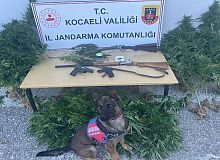 Uyuşturucu Suçları ile Mücadele kapsamında,