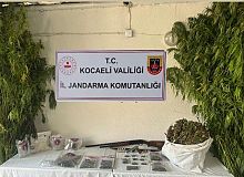 Uyuşturucu Suçları ile Mücadele kapsamında
