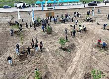 Kocaeli'nde Yeşilin Yükselişi Devam Ediyor
